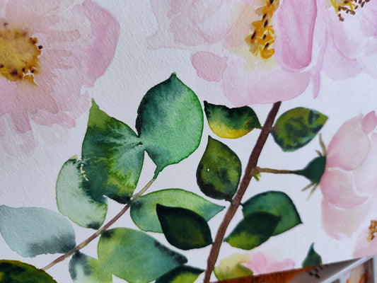 Rosier grimpant