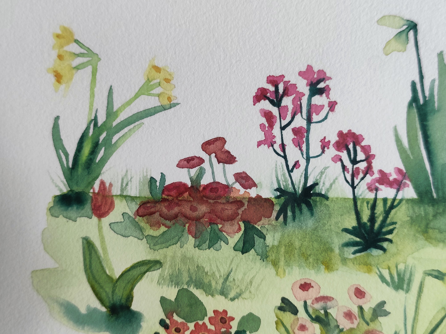 Massif de fleurs