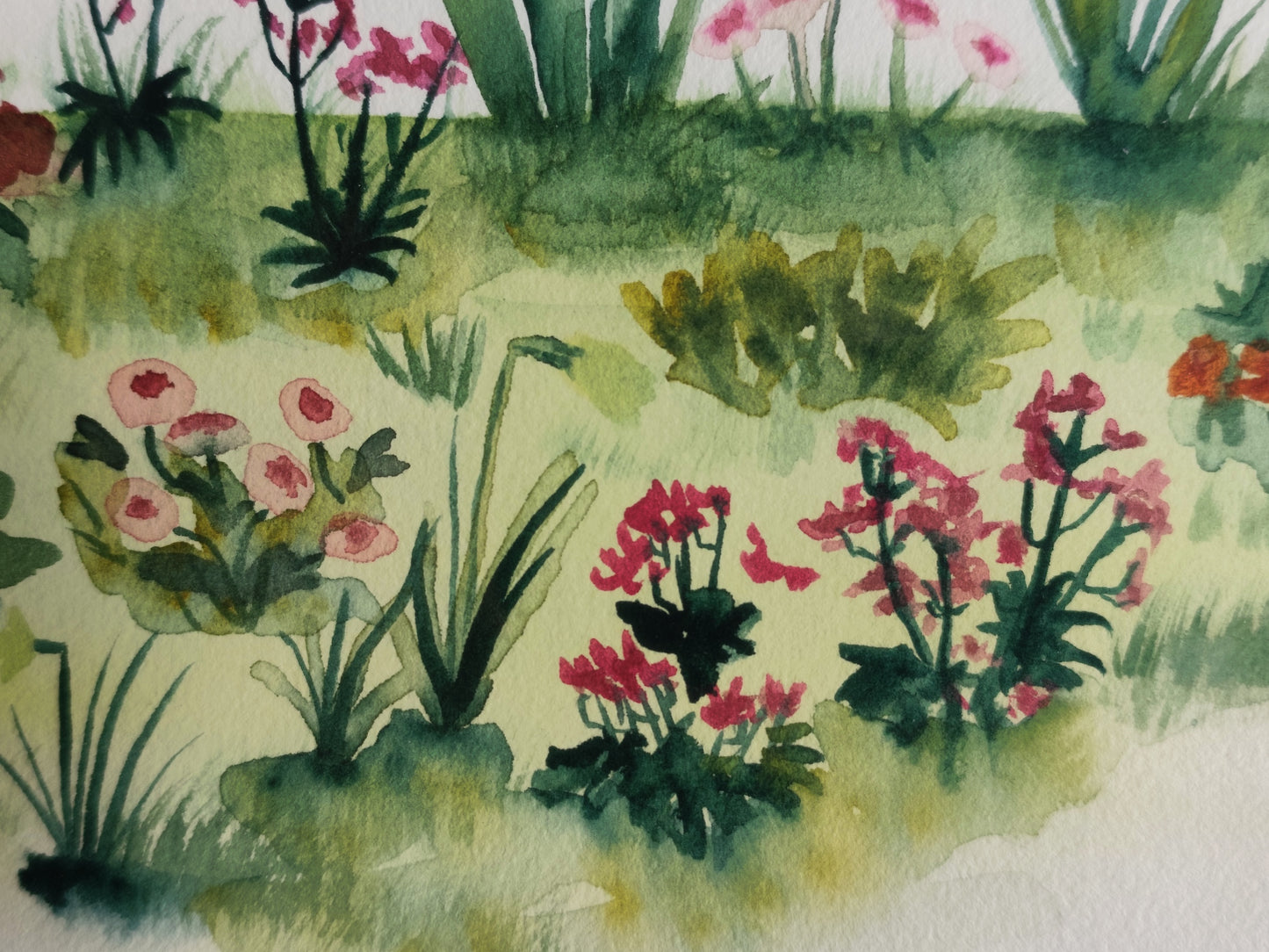 Massif de fleurs