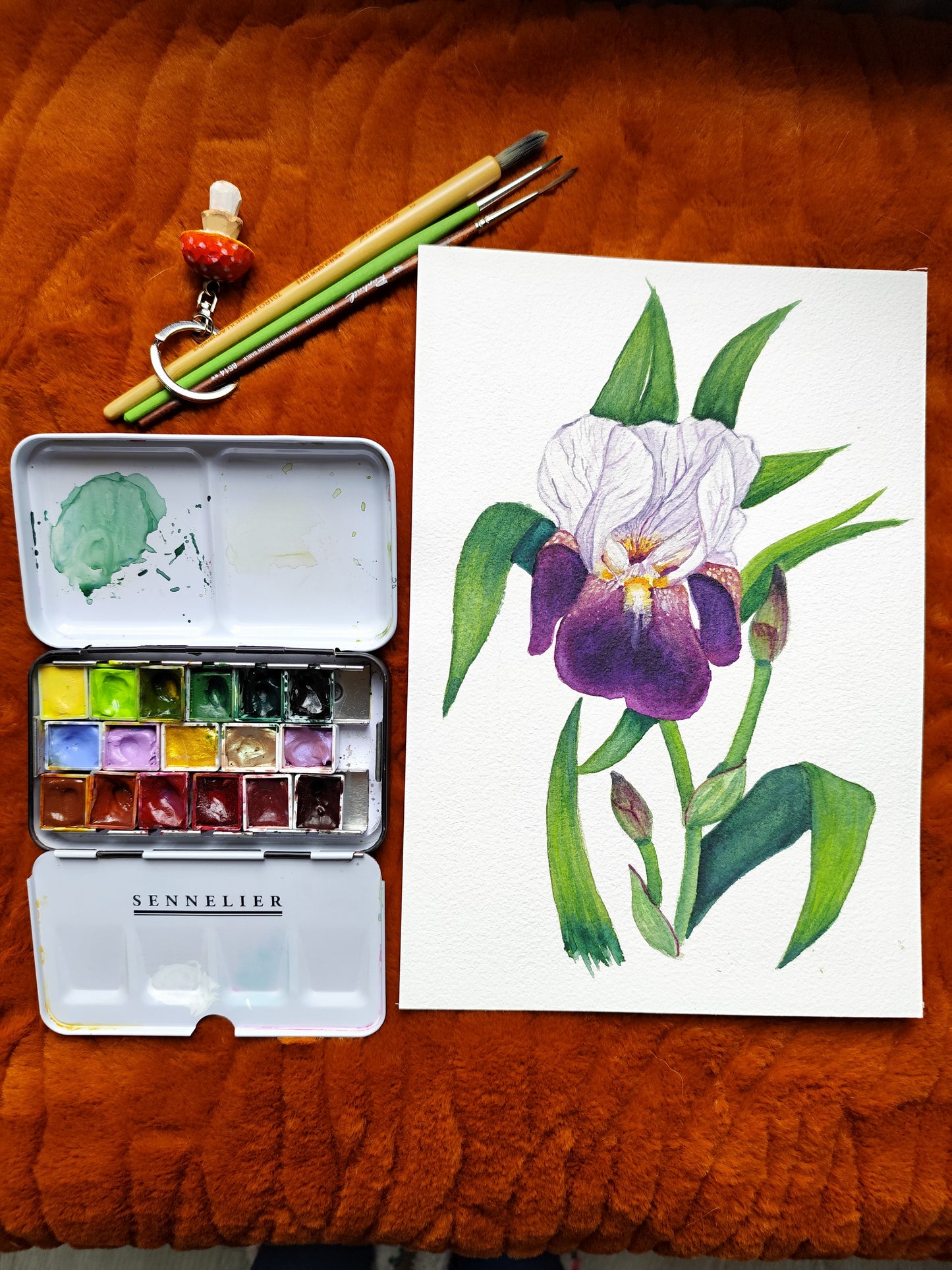 Iris violet