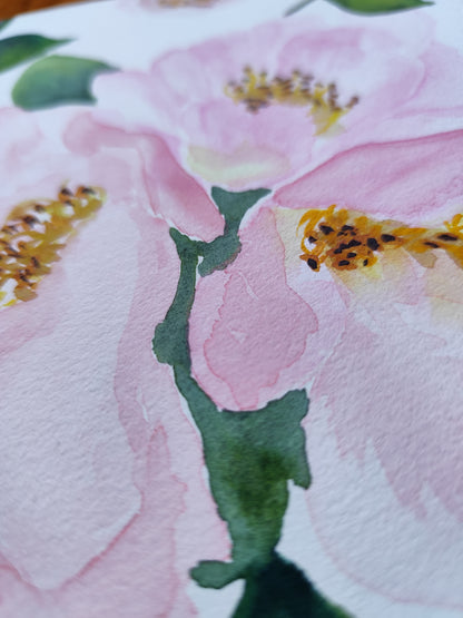 Rosier grimpant